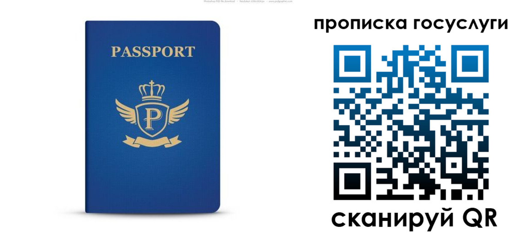 прописка для школы в Медногорске
